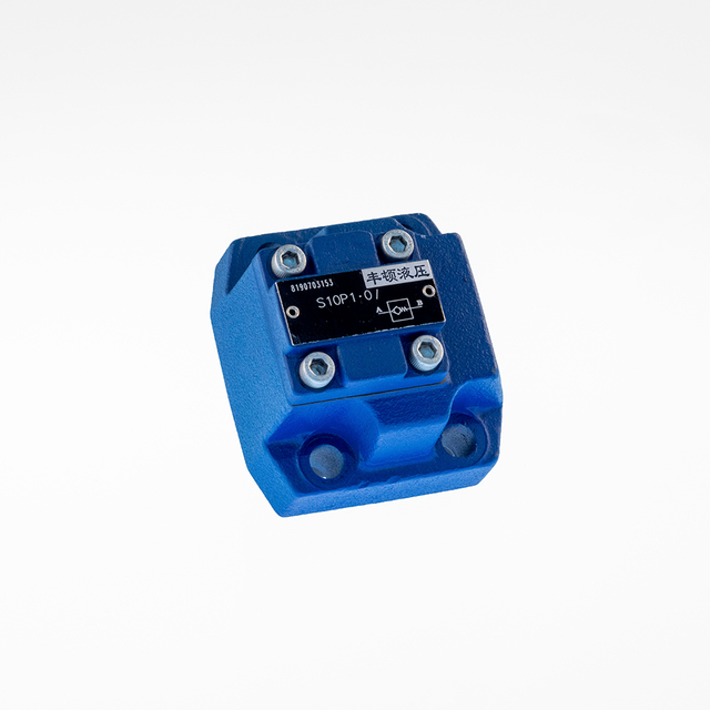 S type Check valve